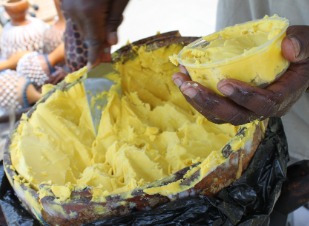 Raw shea butter from Uganda